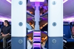 Air New Zealand Introduces Bunk Beds In Economy Flights