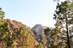 Kasauli visit, Kasauli update, amazing things to do and see in kasauli, Away