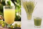 Amla Juice Vs Wheatgrass Juice, Amla Juice Vs Wheatgrass Juice for health, amla juice vs wheatgrass juice for fatty liver, Blood sugar control