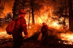 California Department of Forestry and Fire Protection, California wildfires 2018, california wildfires damage in 2018 worth over 2 6bn, California wildfires