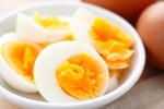 Egg Yolk Vs Cholestrol research, Egg Yolk Vs Cholestrol latest, can egg yolk increase cholesterol, Lifestyle