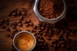 coffee and yogurt mask for hair, coffee mask for hair loss, how to use coffee for hair growth, Testosterone