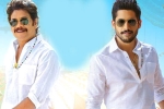 Bangarraju expectations, Bangarraju budget, ten days worldwide collections of bangarraju, Kalyan krishna
