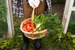 Fruits and Veggies updates, Fruits and Veggies home garden, fruits and veggies that are easy to grow at home, Summer heat