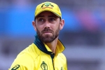 Glenn Maxwell records, Glenn Maxwell records, australian cricketer glenn maxwell s shocking drinking session, Glenn maxwell