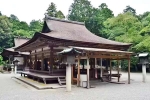 Japan Viral Mikami Shrine videos, Japan Viral Mikami Shrine latest breaking, why are travellers flocking to japan s viral mikami shrine, World s