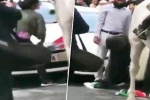 poonam joshi, journalist poonam Joshi, watch journalist jumps into violent protest to save indian tricolor, Snatch