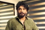 Nagarjuna Personal Rights court, Nagarjuna Personal Rights updates, delhi high on nagarjuna s personal rights, Nagarjuna personal rights