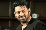 Prabhas Project K breaking news, Prabhas Project K breaking news, prabhas to join project k from november, Ashwini dutt