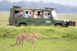 South African Safari Trip list, South African Safari Trip total days, how to plan your south african safari trip, Clothing