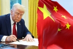 Trump for Chinese students updates, Trump for Chinese students updates, trump opens us doors to 6 lakh chinese students, Calling
