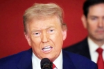 Donald Trump Tariff War with India statement, Donald Trump Tariff War with India news, top us economist on trump s tariff war with india, S jaishankar
