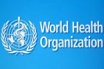 USA WHO updates, USA WHO news, usa withdraws from world health organization, United nations