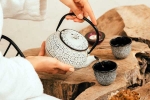 Wellness Tea news, Wellness Tea advantages, can wellness tea help with weight loss and belly fat, Wellness tea