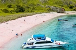 Pink Beach in Indonesia list, Pink Beach in Indonesia list, which pink beach should you visit in indonesia, Coral