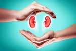 World Kidney Day 2025: Theme and Health Tips