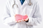 World Liver Day 2025 for health, Liver Overloaded news, world liver day 2025 is your liver overloaded, Latest news