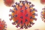 Coronavirus health impact, Coronavirus breaking news, coronavirus is not related to respiratory system says study, Body organs