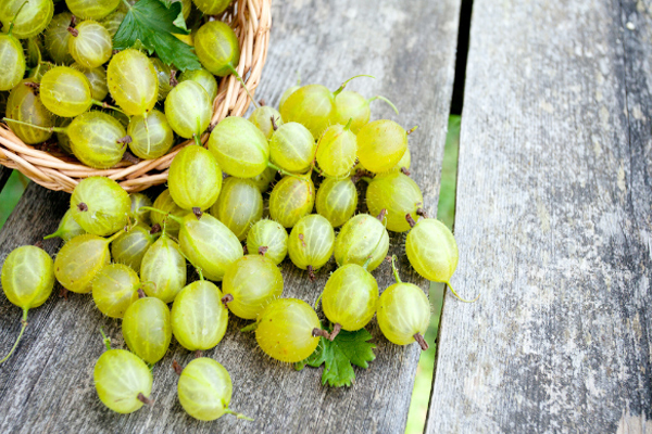 /media/k2/galleries/51219/05