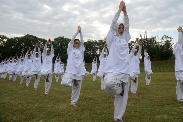 /media/k2/galleries/53846/02