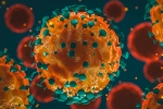 Coronavirus India, coronavirus India updates, 37 875 new coronavirus cases reported in india, Union health ministry