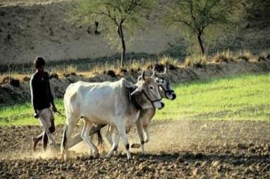 Purchase of Agricultural Land in India by NRIs - Foreigners Purchase of Agricultural Land in India by NRIs - Foreigners