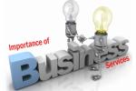 business service, business service, business service agency for nris, Business service