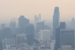 Air Pollution Vs Productivity breaking, Air Pollution Vs Productivity news, how air pollution can impact your productivity and focus, Brains
