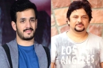 Akhil Akkineni news, Akhil Akkineni and Surendar Reddy, akhil akkineni and surendar reddy joins hands, Coronavirus lockdown
