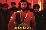 Animal movie, Animal movie, record breaking nominations for animal, Anil kapoor