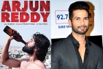 Shahid Kapoor latest, Shahid Kapoor next film, arjun reddy goes to bollywood, Padmavati