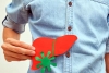 Basic Tests For Your Liver Health