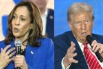 Kamala Harris, Donald Trump, more billionaires back kamala harris over donald trump, Forbes