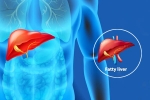 Fatty Liver Disease News new breaking, Fatty Liver Disease News new breaking, body organs that can be affected by fatty liver disease, Fatty liver