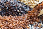Brown Rice Vs Black Rice, Brown Rice Vs Black Rice comparison, brown rice vs black rice which one is healthier, Paris