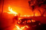 California Wildfire updates, California, california declares wildfire emergency, Hollywood