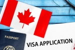 Canada's study visa approvals shocker, Canada's study visa approvals India, canada s study visa approvals for indian students to drop by 50 in 2024, Autumn