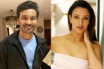 Dhanush, Triptii Dimri breaking, dhanush to romance animal actress triptii dimri, Vidya