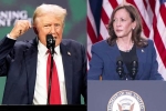 Donald Trump Vs Kamala Harris news, Donald Trump, donald trump calls kamala harris is married to a jewish man, Nominatio