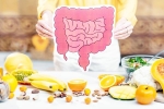 Better Gut Health, Better Gut Health latest, quick and easy drinks for better gut health, Better gut health Better Gut Health, Better Gut Health latest, quick and easy drinks for better gut health, Better gut health