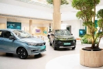 EV car sales September 2024, September 2024 car sales, electric car and suv sales reach lowest in september 2024, Car sales september 2024