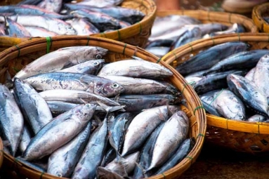 Eat This Fish Twice A Week To Stop Hair Loss