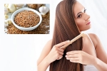 Flaxseeds for hair health, Flaxseeds hair health, how flaxseeds can help for a long and healthy hair, Hair growth