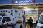 pandemic, pandemic, focus on the united states as the new epicentre of covid 19 outbreak, Andrew cuomo