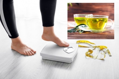 Can consuming green tea really help in weight loss? Can consuming green tea really help in weight loss?