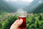 International Tea Day breaking, International Tea Day celebrations, international tea day 2025 facts and significance, Delhi
