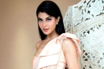 Jacqueline Fernandez latest, Sukesh Chandrashekhar, jacqueline fernandez files complaint against sukesh chandrashekhar, Jacqueline f