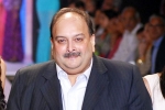 Mehul Choksi return, Mehul Choksi Indian government, mehul choksi s extradition india s assurance to belgium, Wet Mehul Choksi return, Mehul Choksi Indian government, mehul choksi s extradition india s assurance to belgium, Wet