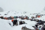 Mount Everest Snowstorm stranded, Mount Everest Snowstorm latest, more than 1000 stranded near mount everest because of snow storm, Mount everest Mount Everest Snowstorm stranded, Mount Everest Snowstorm latest, more than 1000 stranded near mount everest because of snow storm, Mount everest