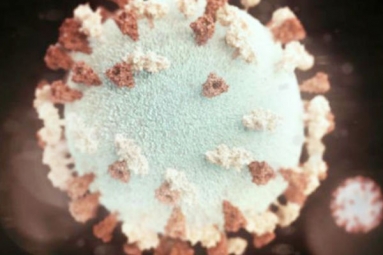 Mumps Outbreak In Los Angeles